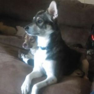 Meet your Posher, Caleb